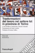 Trasformazioni del lavoro nel settore ICT in provincia di Torino