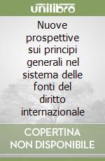 Nuove prospettive sui principi generali nel sistema delle fonti del diritto internazionale libro