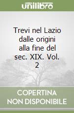 Trevi nel Lazio dalle origini alla fine del sec. XIX. Vol. 2 libro