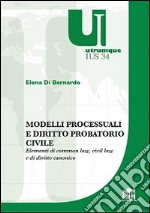 Modelli processuali e diritto civile