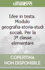 Idee in testa. Modulo geografia-storia-studi sociali. Per la 3ª classe elementare libro