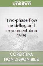 Two-phase flow modelling and experimentation 1999