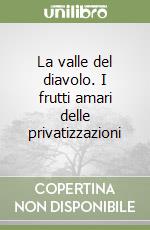 La valle del diavolo. I frutti amari delle privatizzazioni libro