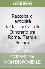 Raccolta di antichità Baldassini-Castelli. Itinerario tra Roma, Terni e Pesaro libro