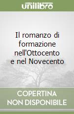 Il romanzo di formazione nell'Ottocento e nel Novecento libro