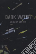 Dark water. Catalogo della mostra (Pisa, 18 marzo-20 maggio 2017). Ediz. italiana e inglese