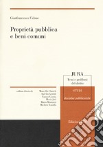 Proprietà pubblica e beni comuni