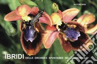 Ibridi delle orchidee spontanee della Sardegna