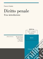 Diritto penale. Una introduzione libro