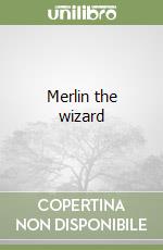 Merlin the wizard