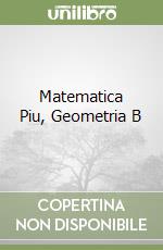 Matematica Piu, Geometria B libro