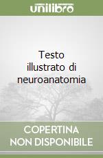 Testo illustrato di neuroanatomia libro