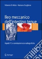 Ileo meccanico dell'intestino tenue: aspetti TC e correlazioni eco-radiografiche libro