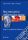 Ileo meccanico dell'intestino tenue: aspetti TC e correlazioni eco-radiografiche libro