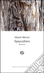 Spaccaferro libro