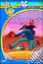 Il mistero della pietra nera libro