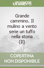 Grande cammino. Il mulino a vento serie un tuffo nella storia (Il) libro