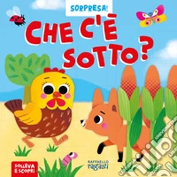 Che c'è sotto? Ediz. a colori