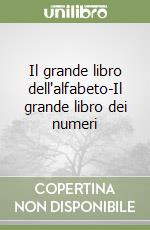 Il grande libro dell'alfabeto-Il grande libro dei numeri libro