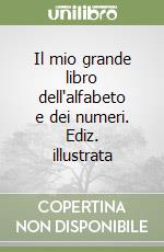 Il mio grande libro dell'alfabeto e dei numeri. Ediz. illustrata libro