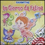 Un giorno da fatine libro