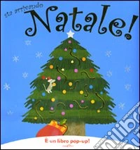 Sta arrivando Natale! Libro pop-up. Ediz. illustrata