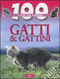 Gatti e gattini