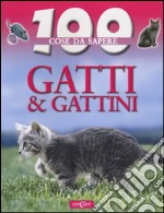 Gatti e gattini