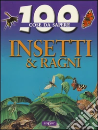 Insetti e ragni
