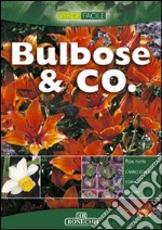 Bulbose & Co. libro