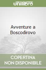 Avventure a Boscodirovo libro