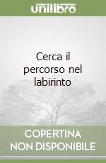 Cerca il percorso nel labirinto libro