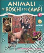 Animali dei boschi e dei campi