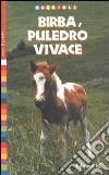 Birba, puledro vivace libro