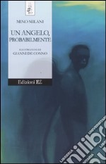 Un angelo, probabilmente libro