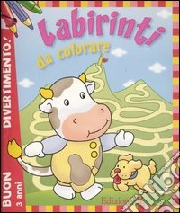 Buon divertimento! Labirinti da colorare. Con gadget libro