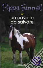 Un cavallo da salvare. Storie di cavalli. Vol. 13 libro