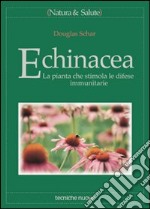 Echinacea. La pianta che stimola le difese immunitarie