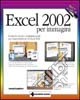 Excel 2002 per immagini libro