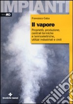 Il vapore. Proprietà, produzione, centrali termiche e termoelettriche, utilizzi industriali e civili libro