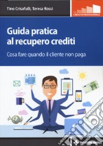 Guida pratica al recupero crediti. Cosa fare quando il cliente non paga libro