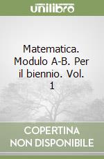 Matematica. Modulo A-B. Per il biennio. Vol. 1 libro