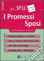 I Promessi Sposi. Analisi guidata al romanzo