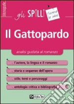 Il Gattopardo. Analisi guidata al romanzo