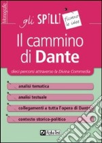 Il cammino di Dante libro