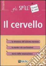 Il cervello