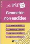 Geometrie non euclidee libro di Benvenuti Silvia