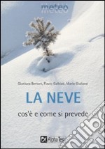 La neve. Cos'è e come si prevede