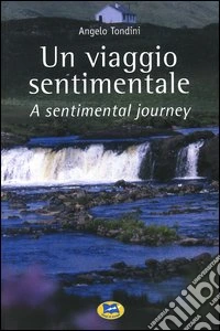 Un viaggio sentimentale-A sentimental journey libro