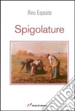 Spigolature libro